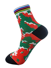 Socquettes officielles Team