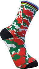 Socquettes officielles Team